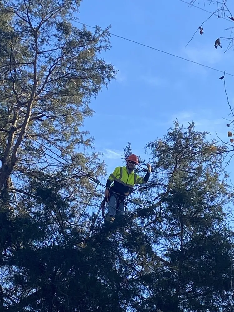 Custom residential landscaping experts serving Georgetown, KY - Ratliff Brothers Tree Experts