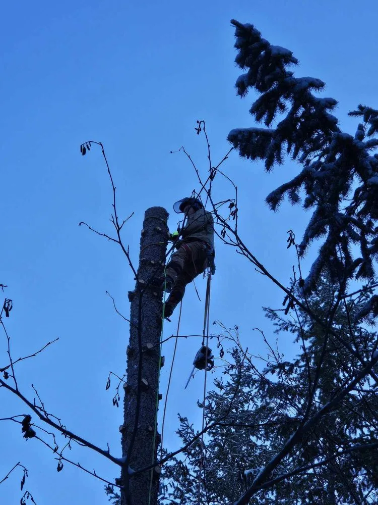 Affordable landscaping services in Saint Maries, ID by Ratliff Landworks