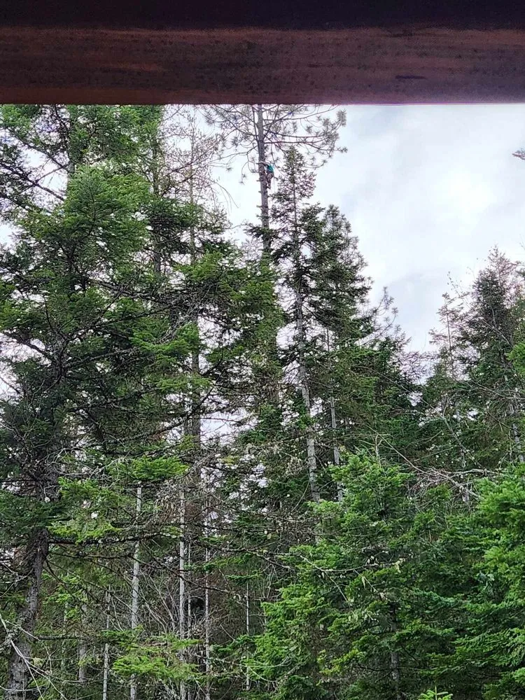 Local lawn care service in Saint Maries, ID - Ratliff Landworks