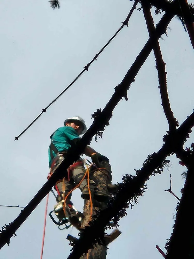 Reliable landscape installation experts serving Saint Maries, ID - Ratliff Landworks