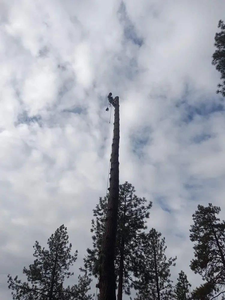 Professional lawn care service with custom design across Saint Maries, ID - Ratliff Landworks