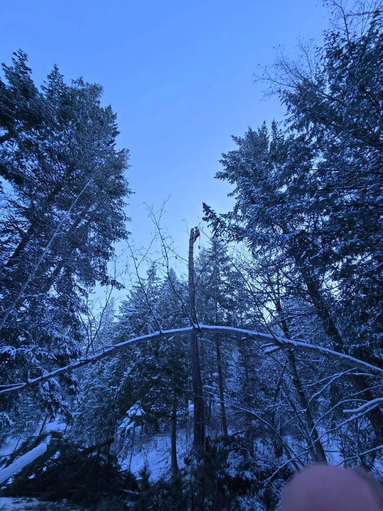 Top-rated yard maintenance in Saint Maries, ID - Ratliff Landworks