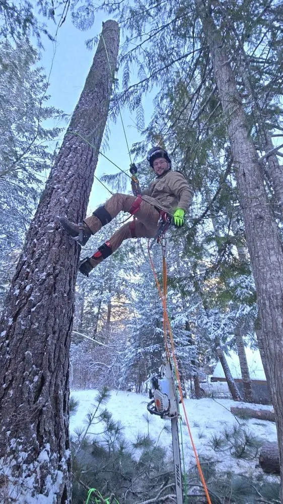 Expert yard maintenance for year-round maintenance across Saint Maries, ID - Ratliff Landworks