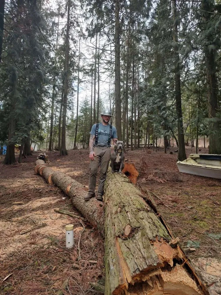 Expert residential landscaping experts serving Saint Maries, ID - Ratliff Landworks