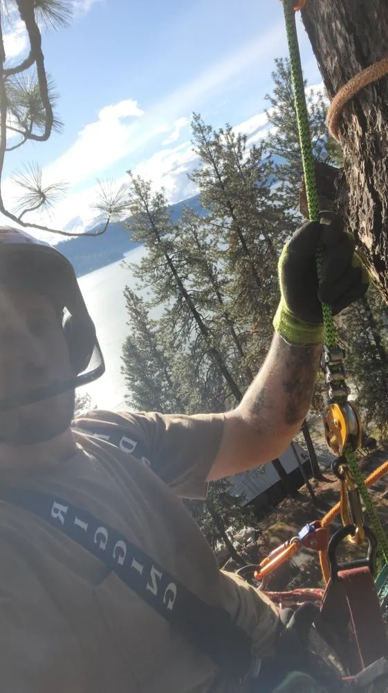 Affordable yard cleanup service experts serving Saint Maries, ID - Ratliff Landworks