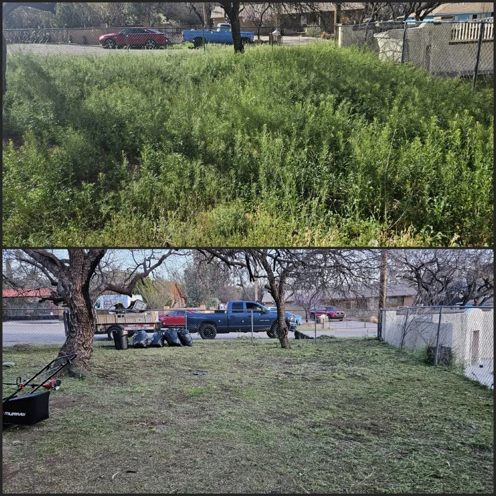 Top-rated landscape design experts serving Tucson, AZ - Rattle Rock Landscaping