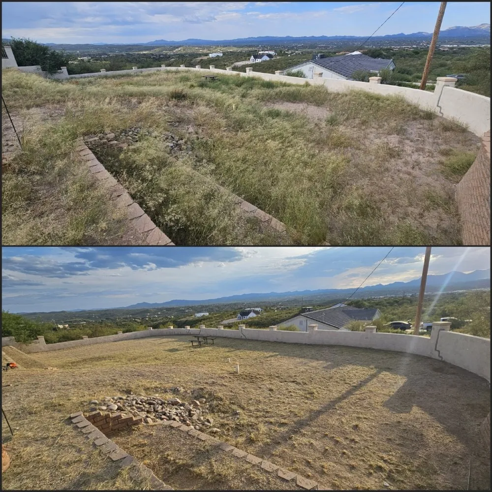 Professional landscape design for beautiful yards in Tucson, AZ by Rattle Rock Landscaping
