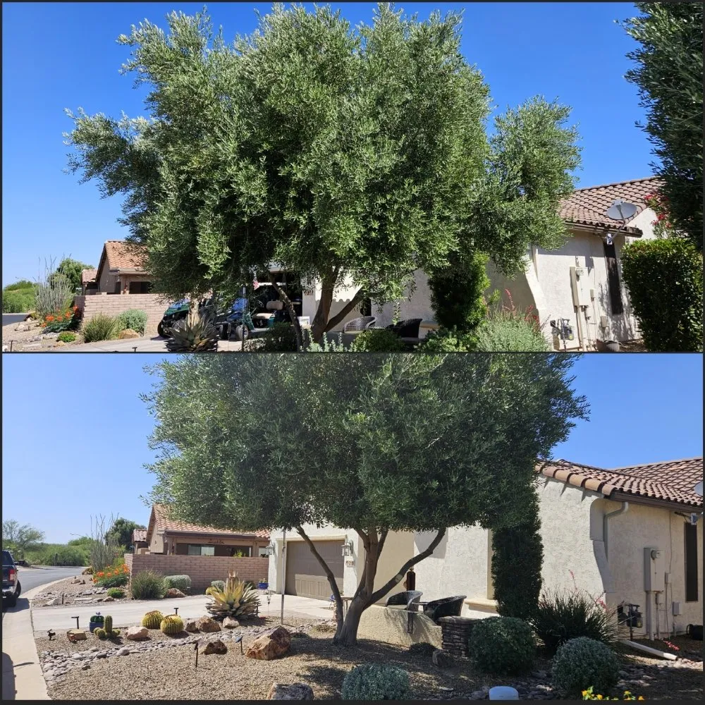 Custom landscape installation experts serving Tucson, AZ - Rattle Rock Landscaping