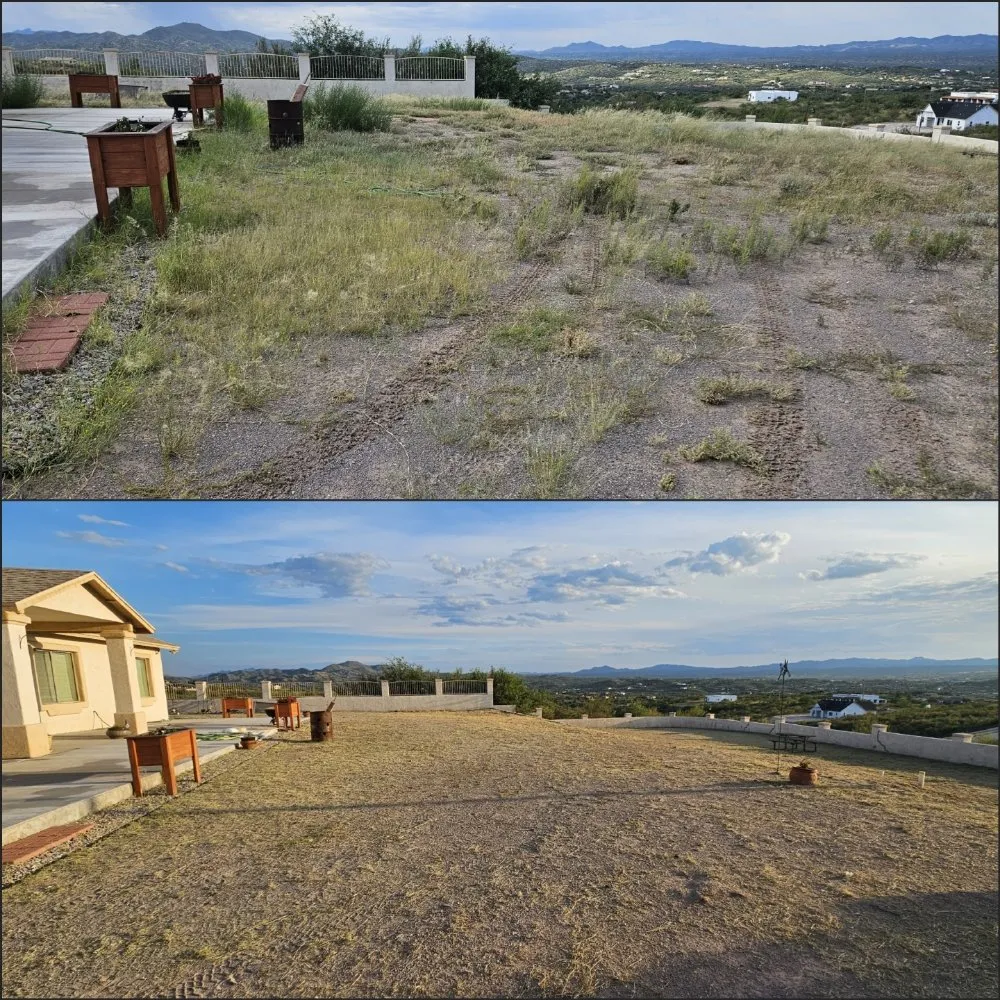 Trusted residential landscaping in Tucson, AZ by Rattle Rock Landscaping