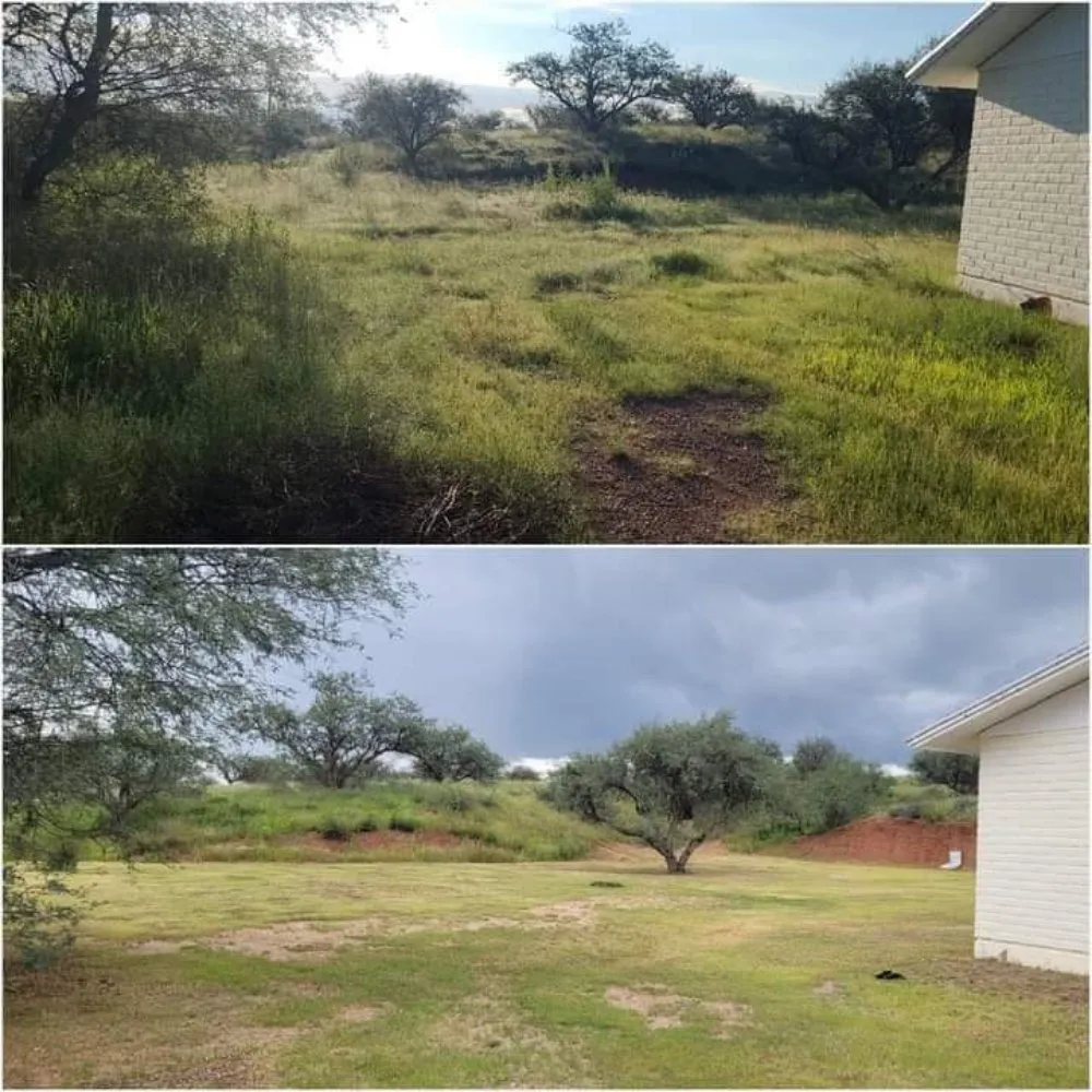 Top-rated yard maintenance for beautiful yards in Tucson, AZ by Rattle Rock Landscaping