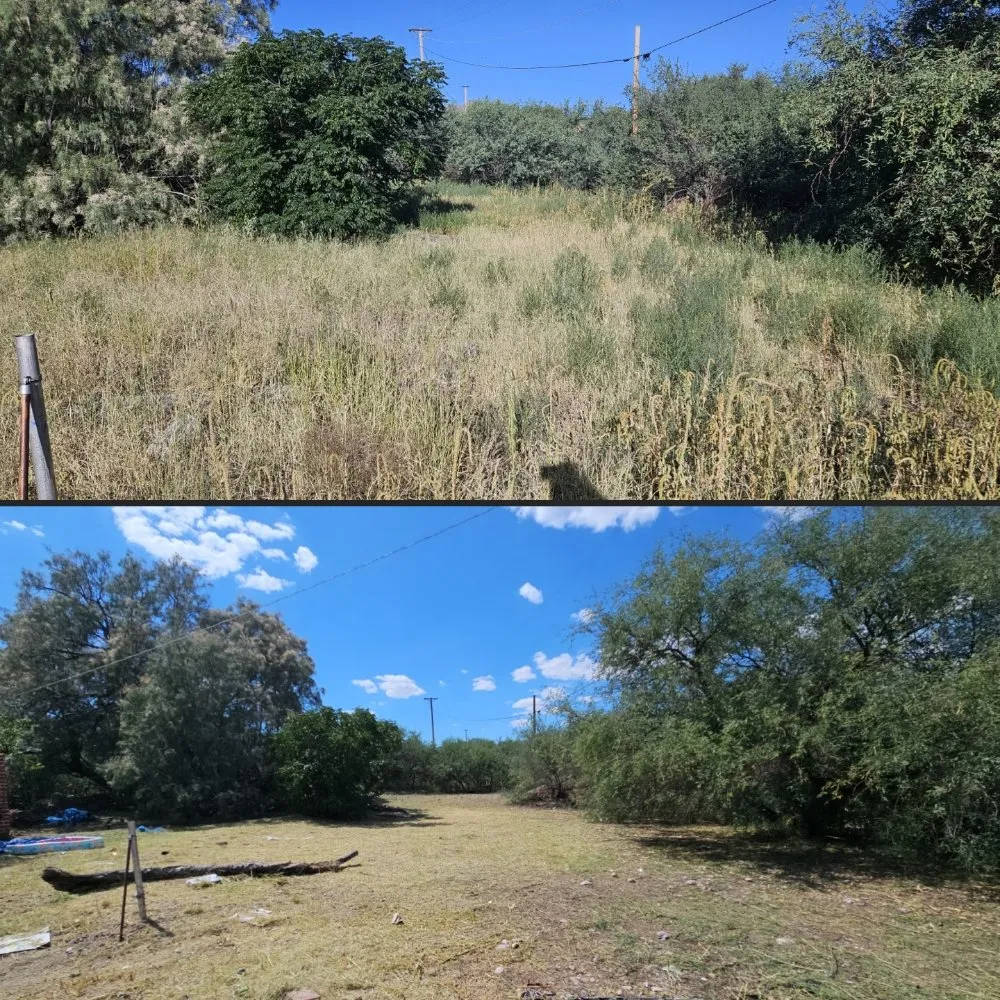 Professional landscape design for homes across Tucson, AZ - Rattle Rock Landscaping