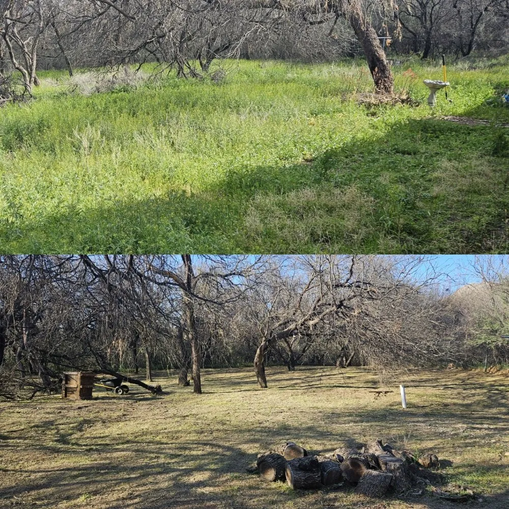 Trusted landscape installation for year-round maintenance across Tucson, AZ - Rattle Rock Landscaping