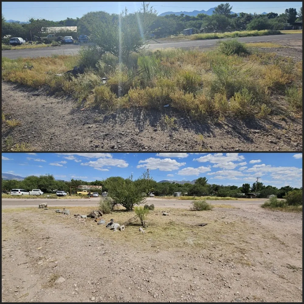 Affordable garden landscaping in Tucson, AZ - Rattle Rock Landscaping