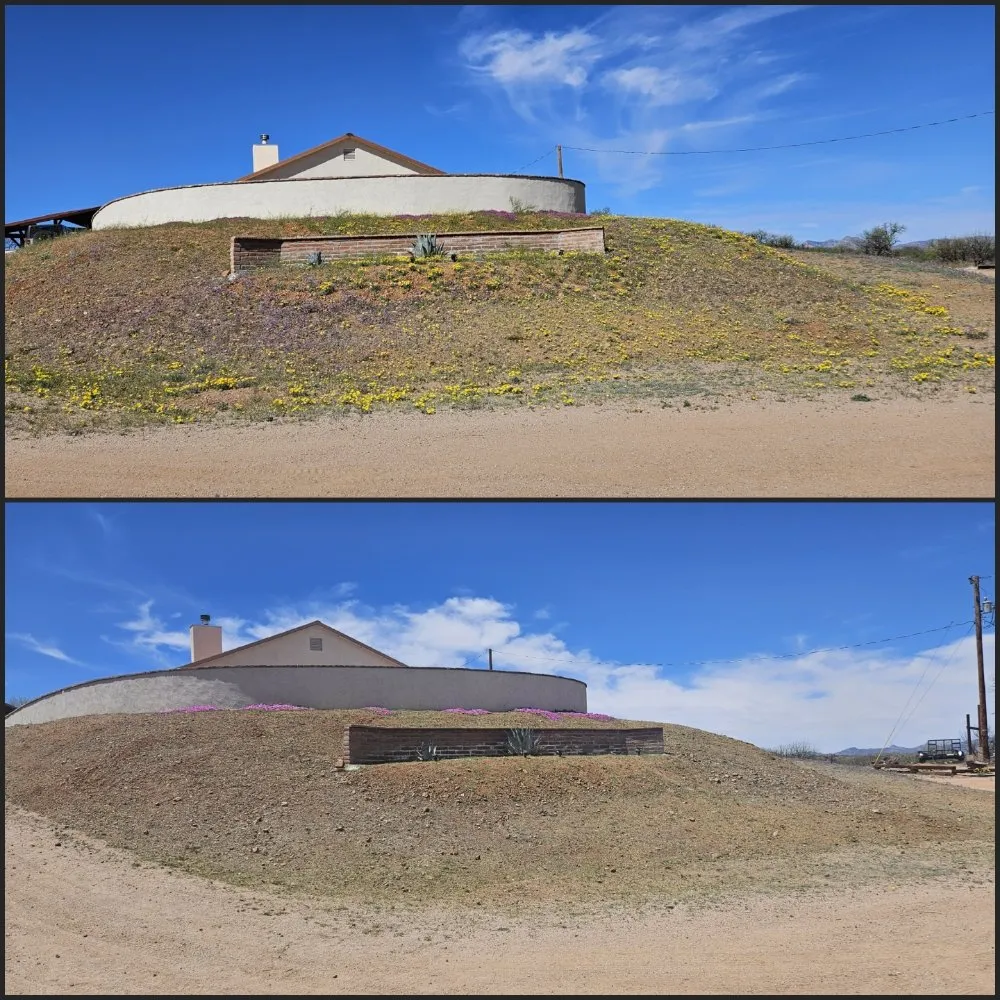 Professional outdoor landscaping experts serving Tucson, AZ - Rattle Rock Landscaping