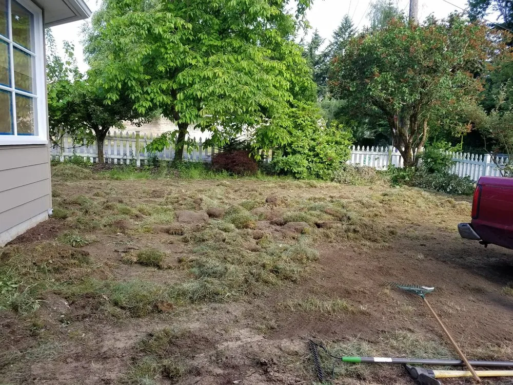 Custom yard maintenance experts serving Kent, WA - Raul Barrientos Landscaping and Handy