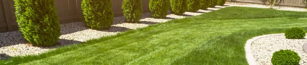 Professional yard cleanup service in Atwater, CA by Raul Garden Services