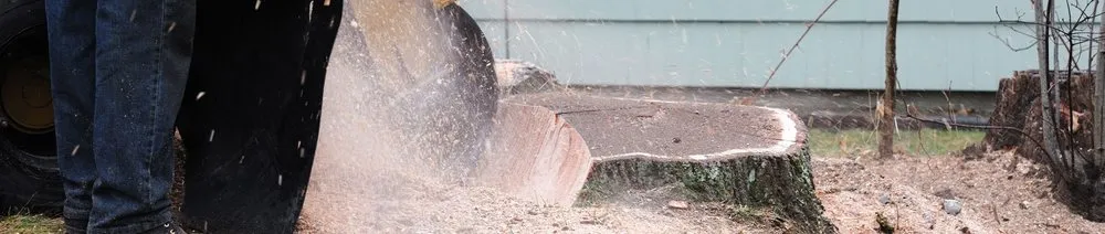 Custom residential landscaping experts serving Atwater, CA - Raul Garden Services