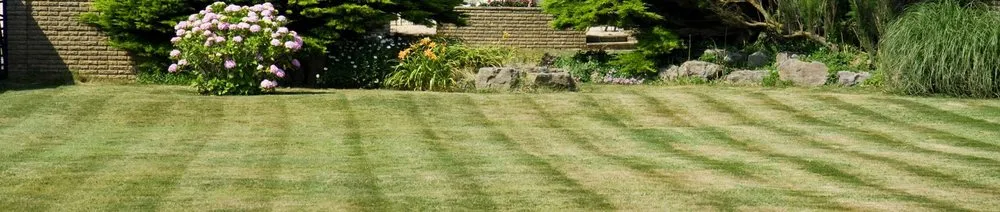 Local yard cleanup service in Atwater, CA by Raul Garden Services