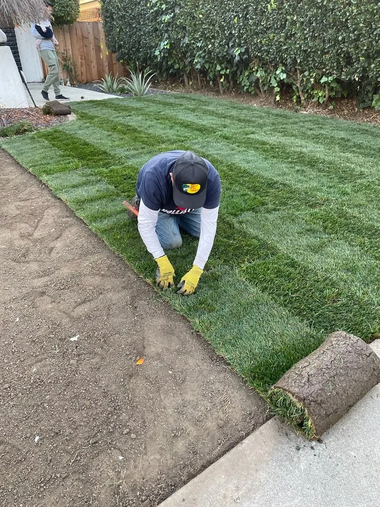 Reliable residential landscaping in San Jose, CA - Raul Huerta Lanscaping