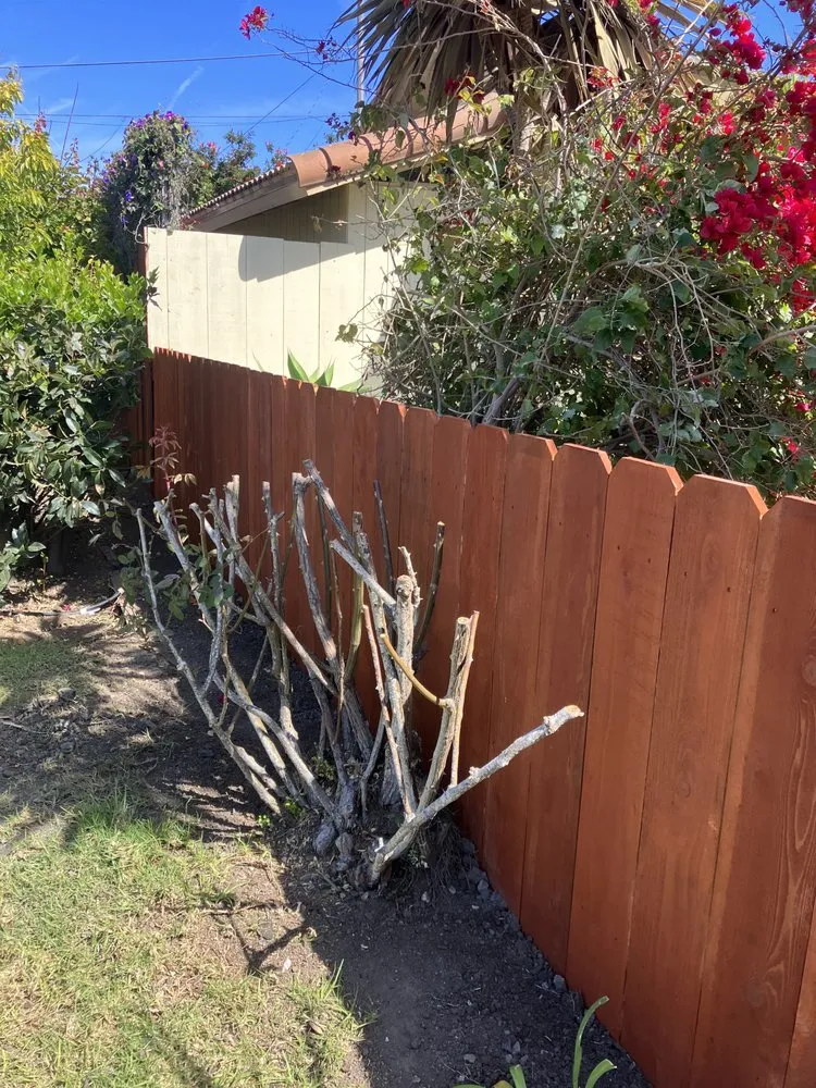 Professional yard cleanup service in Baywood-Los Osos, CA by Raul j Morales Landscaping