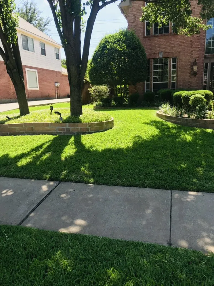 Affordable yard cleanup service experts serving Lewisville, TX - Raul Landscaping