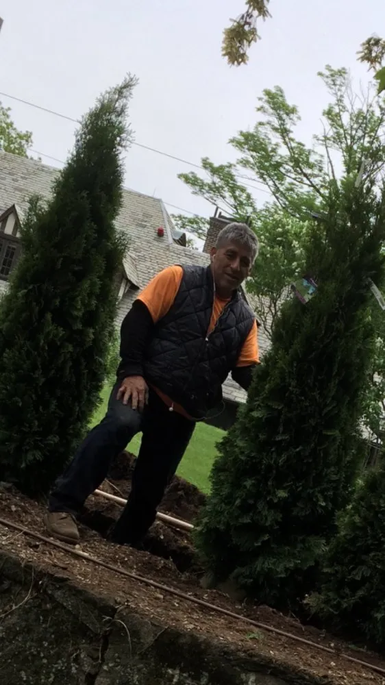 Expert lawn care service in Port Chester, NY - Raul Martinez Landscaping