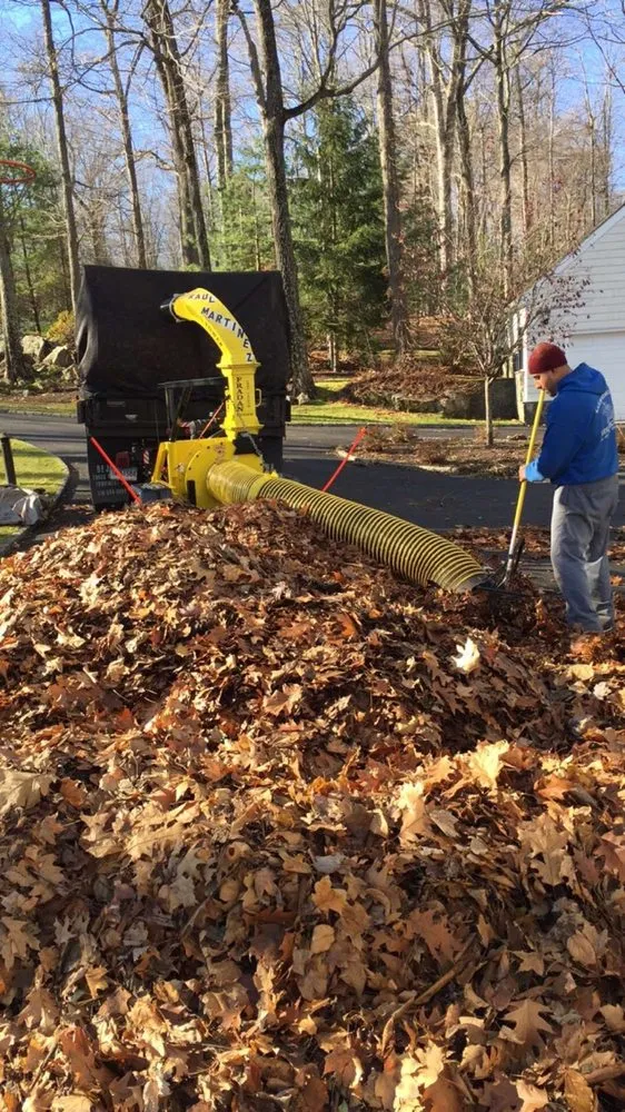 Custom yard cleanup service experts serving Port Chester, NY - Raul Martinez Landscaping