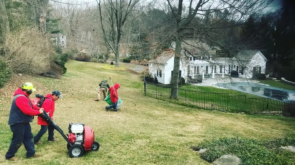 Trusted yard cleanup service in Port Chester, NY - Raul Martinez Landscaping