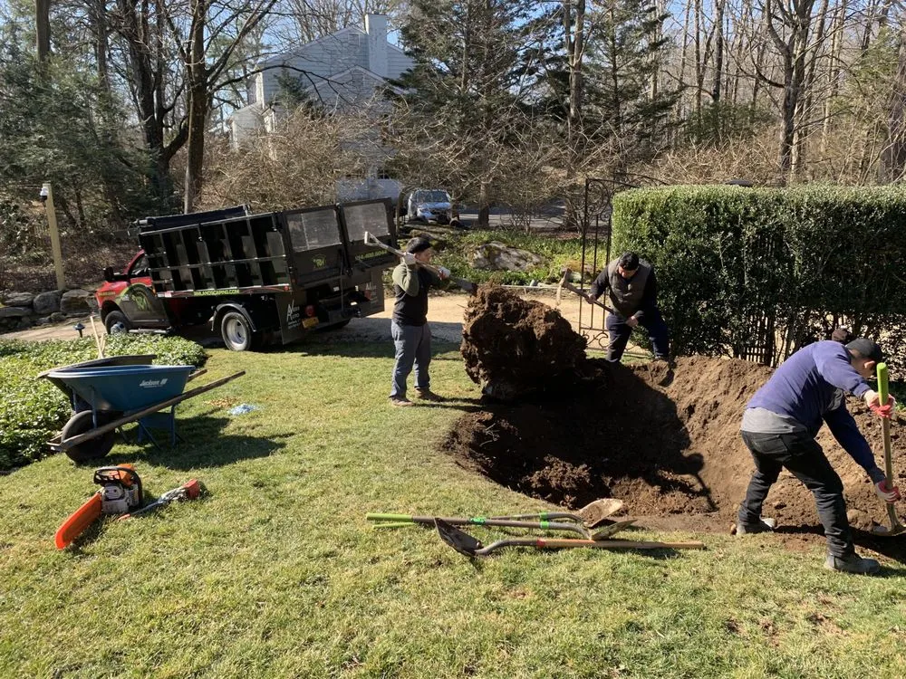 Affordable outdoor landscaping for outdoor upgrades in Port Chester, NY by Raul Martinez Landscaping