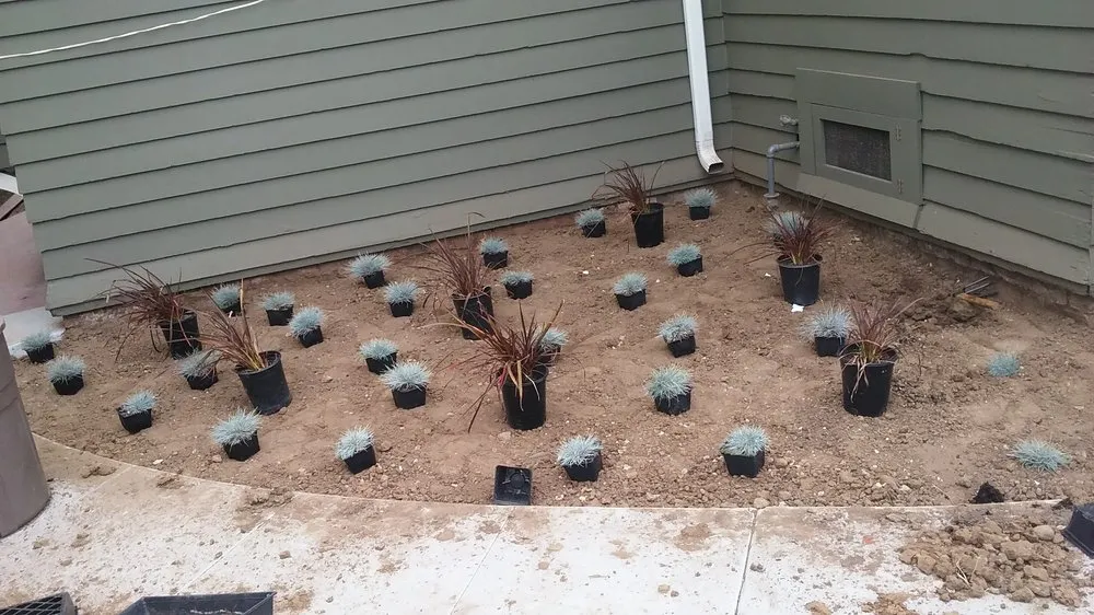 Top-rated residential landscaping with custom design in Inglewood, CA by Raul Ramirez Landscaping