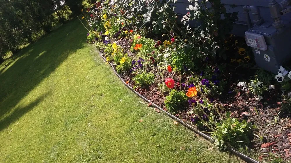 Local landscaping services for beautiful yards across Inglewood, CA - Raul Ramirez Landscaping