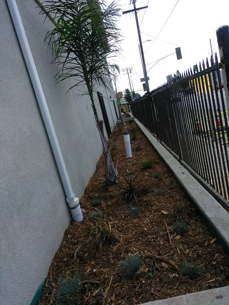 Top-rated yard cleanup service experts serving Inglewood, CA - Raul Ramirez Landscaping