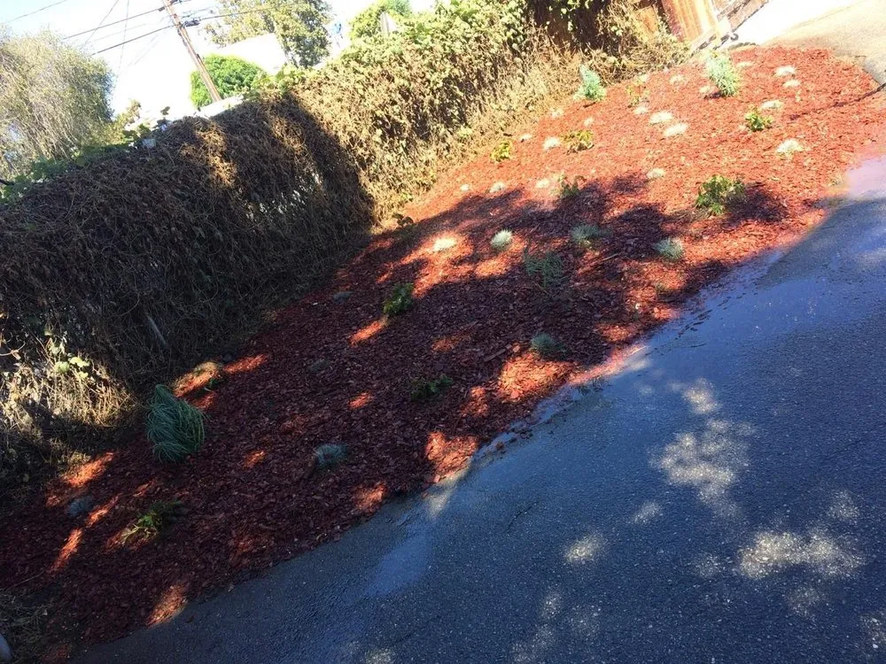 Trusted yard maintenance in Inglewood, CA - Raul Ramirez Landscaping