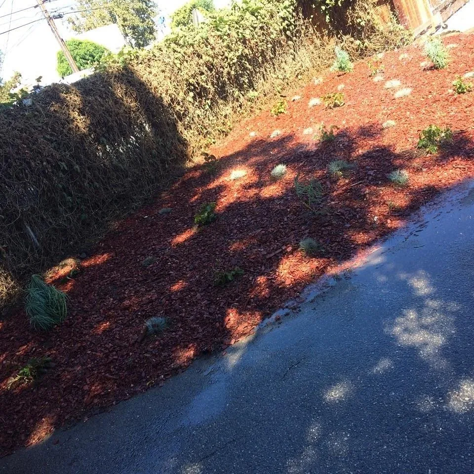 Local yard maintenance in Inglewood, CA - Raul Ramirez Landscaping