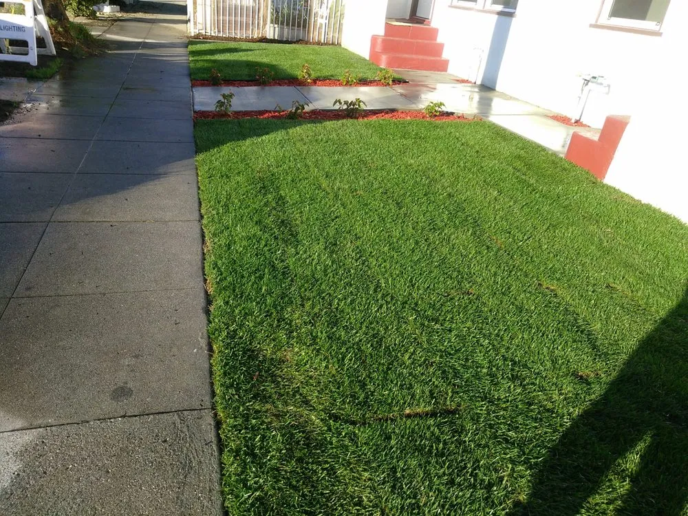Trusted landscape installation for beautiful yards across Inglewood, CA - Raul Ramirez Landscaping