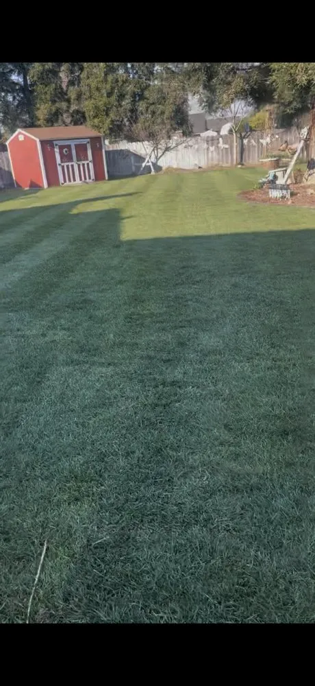 Reliable landscape installation experts serving Stockton, CA - Rauls Irrigation