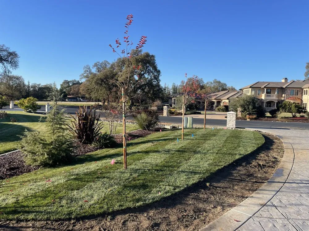 Professional yard maintenance for homes in Stockton, CA by Rauls Irrigation