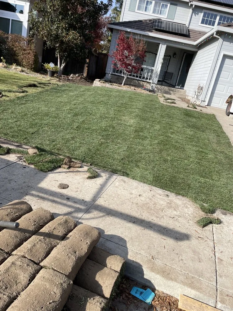 Custom yard cleanup service with custom design across Stockton, CA - Rauls Irrigation