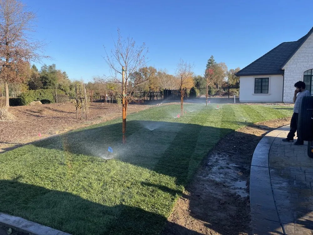 Trusted yard cleanup service in Stockton, CA by Rauls Irrigation