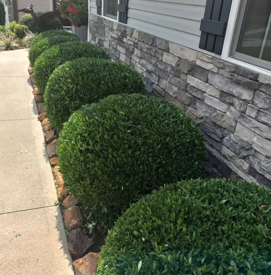 Affordable lawn mowing service experts serving Easley, SC - Raul's Landscape