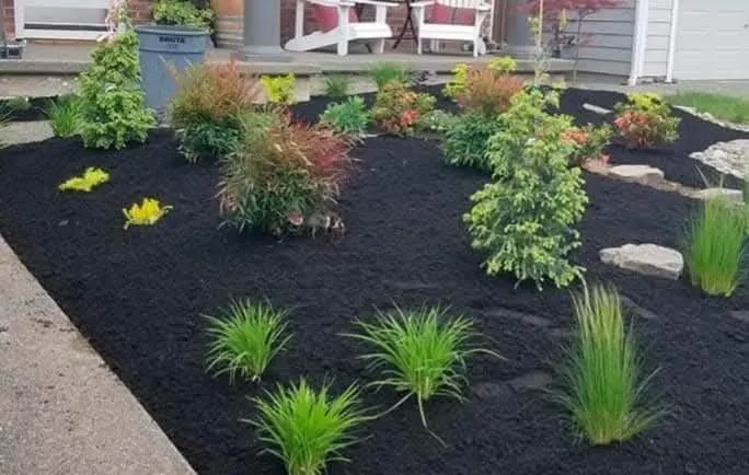 Affordable landscape design for residential properties in Easley, SC by Raul's Landscape