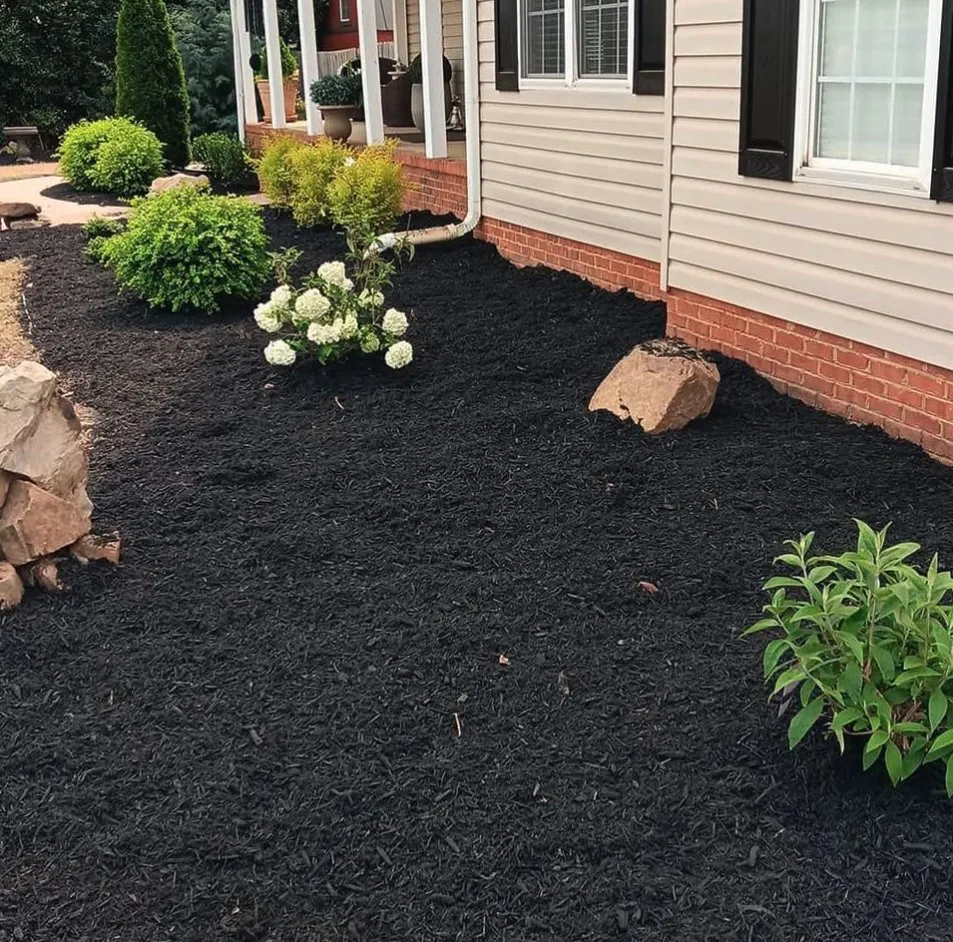 Affordable landscaping services experts serving Easley, SC - Raul's Landscape
