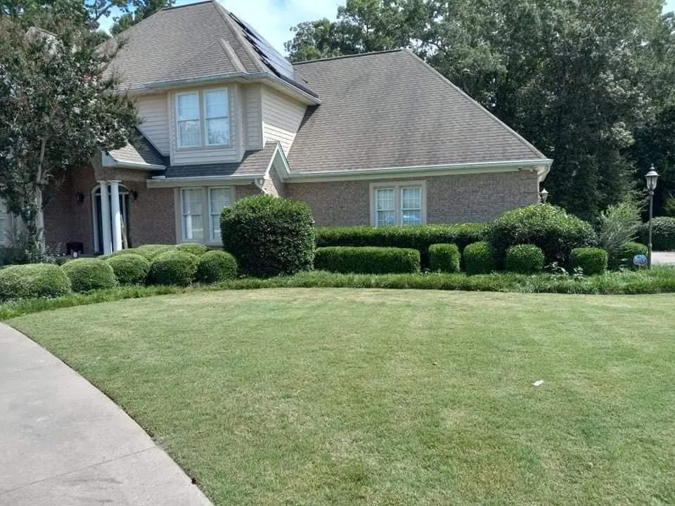 Professional yard cleanup service in Easley, SC by Raul's Landscape