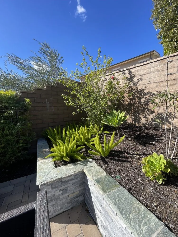 Expert yard maintenance near you across Irvine, CA - Rauls Landscaping