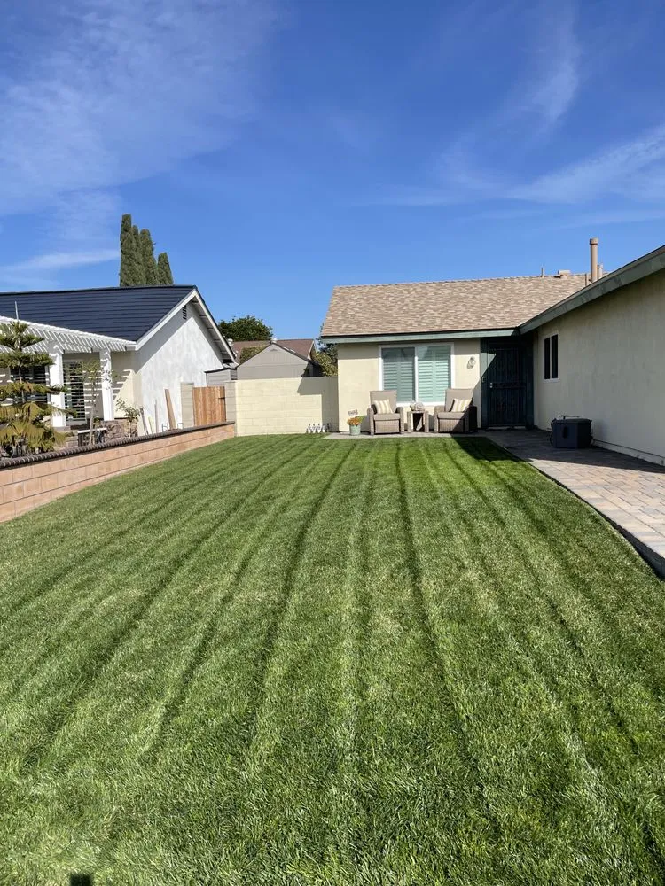 Custom yard cleanup service in Irvine, CA by Rauls Landscaping