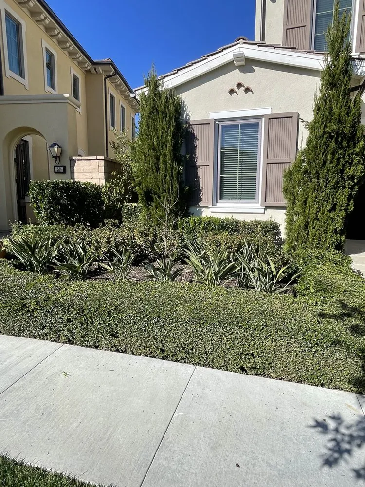 Top-rated landscaping services experts serving Irvine, CA - Rauls Landscaping