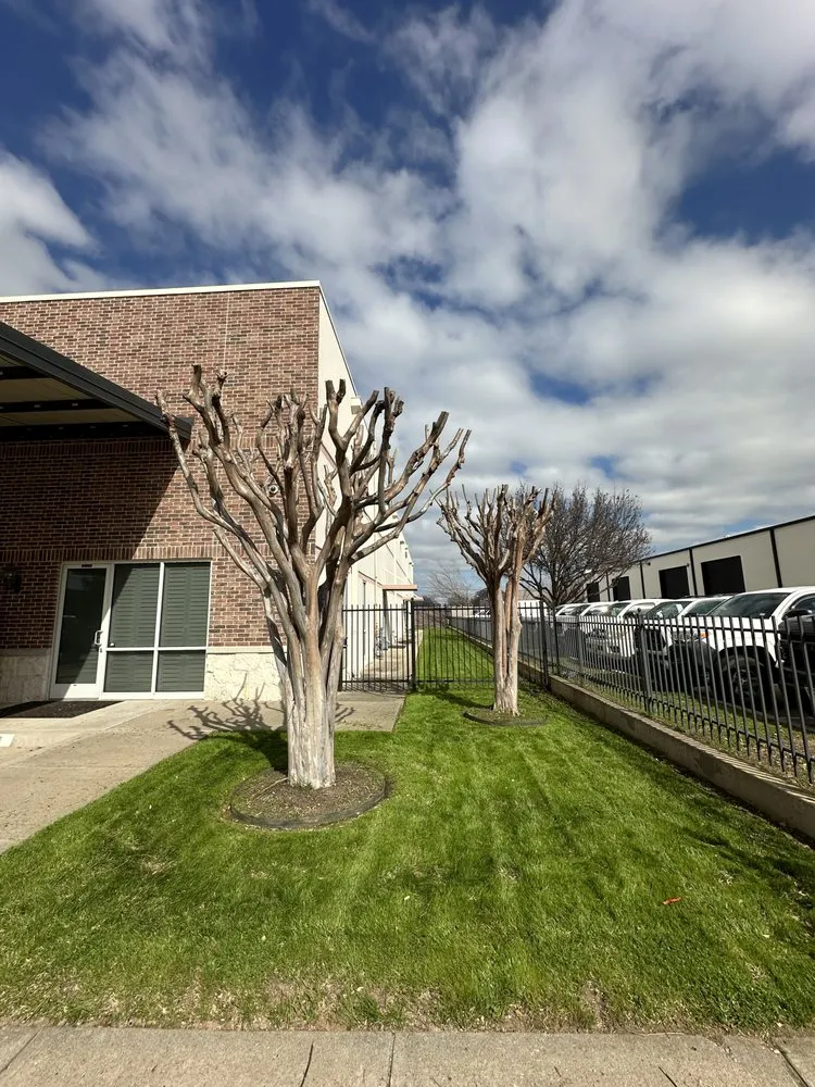 Local landscape installation in Fort Worth, TX by Rauls Lawn Care