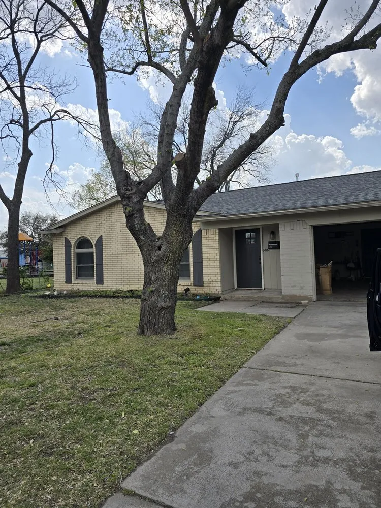 Expert yard cleanup service for homes in Fort Worth, TX by Rauls Lawn Care