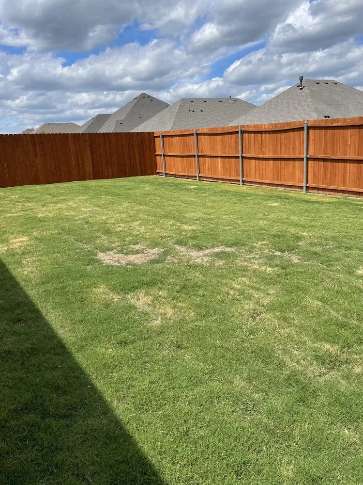 Expert yard cleanup service near you in Fort Worth, TX by Rauls Lawn Care