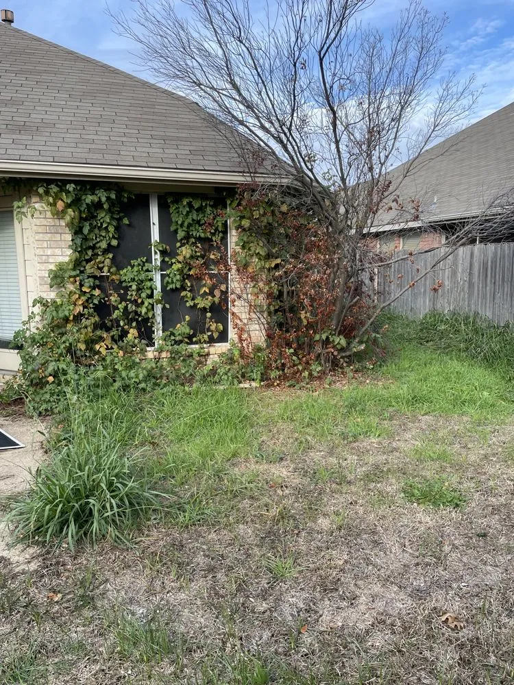 Custom yard maintenance for homes in Fort Worth, TX by Rauls Lawn Care